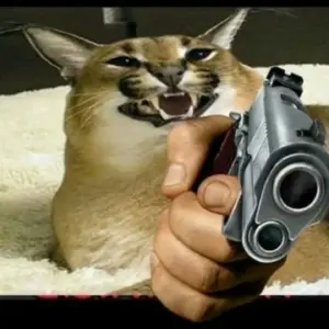 Мандарины Калиманжарские